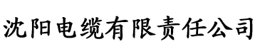 亚洲国产欧美一区二区三区不卡电缆厂logo